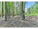 Scenic wooded backyard with a bird feeder provides a relaxing escape at 955 Bishopswood Pl, Johns Creek, GA 30022