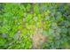 Aerial view showcasing lush green forest with varied trees, offering a serene and natural setting at 5040 Fawn Valley Dr, Loganville, GA 30052