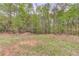 Beautiful land and woods, offering privacy and a sense of natural beauty at 5040 Fawn Valley Dr, Loganville, GA 30052