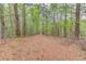 Secluded wooded area featuring mature trees and a peaceful, natural setting, offering privacy at 5040 Fawn Valley Dr, Loganville, GA 30052