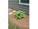 Foundation landscaping featuring neatly arranged plants surrounded by fresh pinestraw at 63 Aspen Way, Dallas, GA 30157