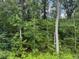Scenic view of lush trees in wooded area at 63 Aspen Way, Dallas, GA 30157