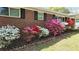 Close-up of the landscaping along the front of the house, showcasing a variety of colorful flowering azalea bushes at 4290 Chestnut Grove Ln, Austell, GA 30106