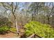 A picturesque view of the backyard, featuring lush trees and a well-maintained landscape at 507 Anthony Pl, Canton, GA 30114