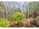 A tranquil backyard view, showcasing the natural beauty of trees and landscaping at 507 Anthony Pl, Canton, GA 30114