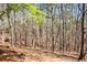 Lush wooded backyard providing privacy at 507 Anthony Pl, Canton, GA 30114