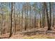 Wooded backyard for privacy at 507 Anthony Pl, Canton, GA 30114