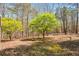 Scenic backyard featuring mature trees and landscaping, perfect for outdoor enjoyment at 507 Anthony Pl, Canton, GA 30114