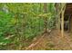 View of the private backyard with mature trees at 8355 Ainsworth Dr, Cumming, GA 30041