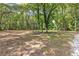 This sprawling backyard, surrounded by mature trees, offers endless possibilities for recreation and relaxation at 159 Forest Ave, Social Circle, GA 30025