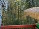 Outdoor patio with lush greenery and bamboo trees at 6438 Wedgeview Dr, Tucker, GA 30084