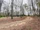 Scenic view of the leafy yard with a path and trees at 110 N River Rd, Mcdonough, GA 30252