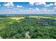 Aerial shot of a home nestled amongst lush trees in Covington, GA at 939 Jean Court at 939 Jean Ct, Covington, GA 30014