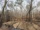 Beautiful creek meandering through a wooded area, highlighting the serene and natural surroundings at 939 Jean Ct, Covington, GA 30014
