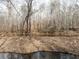 Scenic view of a creek flowing through a wooded area, showcasing the natural landscape at 939 Jean Ct, Covington, GA 30014