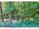 Backyard wooded area with creek at 1590 Highland Farm Dr, Suwanee, GA 30024