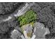 Aerial view of a home on a large lot surrounded by trees at 1803 Gold Finch Way, Lawrenceville, GA 30043