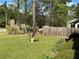 Well-manicured front yard featuring a lush green lawn and mature trees at 1109 Granite Ln, Loganville, GA 30052