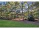 Expansive backyard featuring mature trees, natural landscaping, and ample green space at 3337 Camens Way, Buford, GA 30519