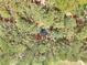 Aerial view of gazebo in a green park with tall trees surrounding the amenity at 2570 Middleton Way, Grayson, GA 30017