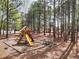 Playground with swingset, slide, picnic table, and mature trees on a mulch surface at 2570 Middleton Way, Grayson, GA 30017
