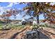 Scenic backyard view with mature trees and bench, perfect for relaxing at 4835 Fields Bridge Rd, Cumming, GA 30028