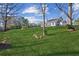 Expansive backyard featuring a lush green lawn with mature trees providing ample shade at 5705 Windjammer Pt, Cumming, GA 30041