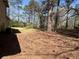 View of backyard featuring level ground with pine needles and mature trees at 5834 Heardsville Rd, Cumming, GA 30028