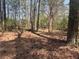 Beautiful wooded lot with mature trees and natural ground cover, perfect for building a dream home at 5834 Heardsville Rd, Cumming, GA 30028
