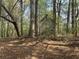 Rustic backyard shed nestled among the trees, offering ample storage or workshop potential in a serene setting at 5834 Heardsville Rd, Cumming, GA 30028