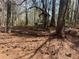 View of outbuilding surrounded by mature trees and level pine needle ground covering at 5834 Heardsville Rd, Cumming, GA 30028