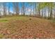 View of the backyard with lots of tall trees and a yard covered with foliage and grass at 3640 Silver Leaf Sw Ln, Marietta, GA 30008