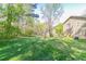 Large, grassy backyard with mature trees and plenty of space for outdoor activities and entertainment at 2619 Del Ridge Dr, Douglasville, GA 30135