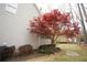 Side exterior view of home with Japanese Maple Tree and Landscaping at 1191 Crofton Landing, Suwanee, GA 30024