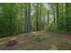 Secluded backyard boasts a fire pit and lush trees creating a peaceful retreat at 4005 Saddlebrook Creek Dr, Marietta, GA 30060