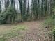 Natural backyard with lush greenery, scattered leaves, and towering trees at 4481 Dunmovin Nw Dr, Kennesaw, GA 30144