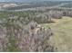 Sweeping aerial shot of property with lake in the distance, surrounded by lush woods at 905 Attaway Rd, Bowdon, GA 30108