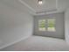 Bright bedroom with neutral carpet, tray ceiling and windows with views of the landscape at 205 Haverling Pass, Hampton, GA 30228