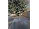 Backyard patio with a mature tree and wooden fence at 91 Brookway Trce, Norcross, GA 30071