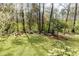 Expansive backyard with mature trees and natural landscaping at 1488 Drayton Woods Dr, Tucker, GA 30084