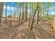 Large, wooded backyard featuring a new fence, trees and a shed at 4162 Crowder Nw Dr, Kennesaw, GA 30152