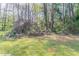 Lush backyard surrounded by tall trees and a mix of grass and natural vegetation at 2030 Hilda Burns Pl, Lithonia, GA 30058