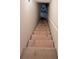 Basement stairs with painted treads and risers at 404 After Glow Smt, Canton, GA 30114
