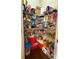 Walk-in pantry with wire shelving offering ample storage for food and household items at 404 After Glow Smt, Canton, GA 30114