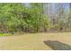 Large, grassy backyard with mature trees and a secluded, natural setting at 4097 Rosebud Park Dr, Snellville, GA 30039