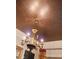 Elegant chandelier on ceiling at 850 Piedmont Ne Ave # 1206, Atlanta, GA 30308