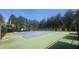 Well-maintained tennis courts, perfect for recreational play in a beautiful setting at 7660 Brentwood Ct, Cumming, GA 30040
