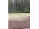 Backyard with trees, providing ample space for play and relaxation at 234 Madison Ave, Acworth, GA 30102