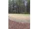Spacious backyard with trees, offering plenty of room for outdoor activities at 234 Madison Ave, Acworth, GA 30102