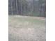 Nice backyard with trees, offering plenty of room for outdoor activities at 234 Madison Ave, Acworth, GA 30102
